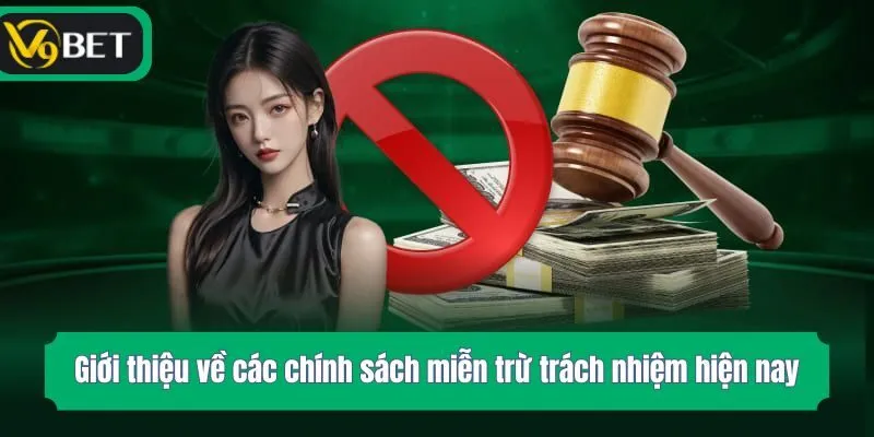 Giới thiệu về các chính sách miễn trừ trách nhiệm hiện nay